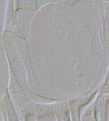 Textures 240